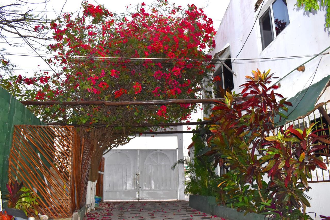 Lobo Inn تولوم المظهر الخارجي الصورة