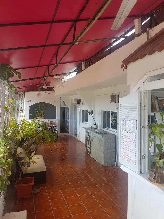 Lobo Inn تولوم المظهر الخارجي الصورة