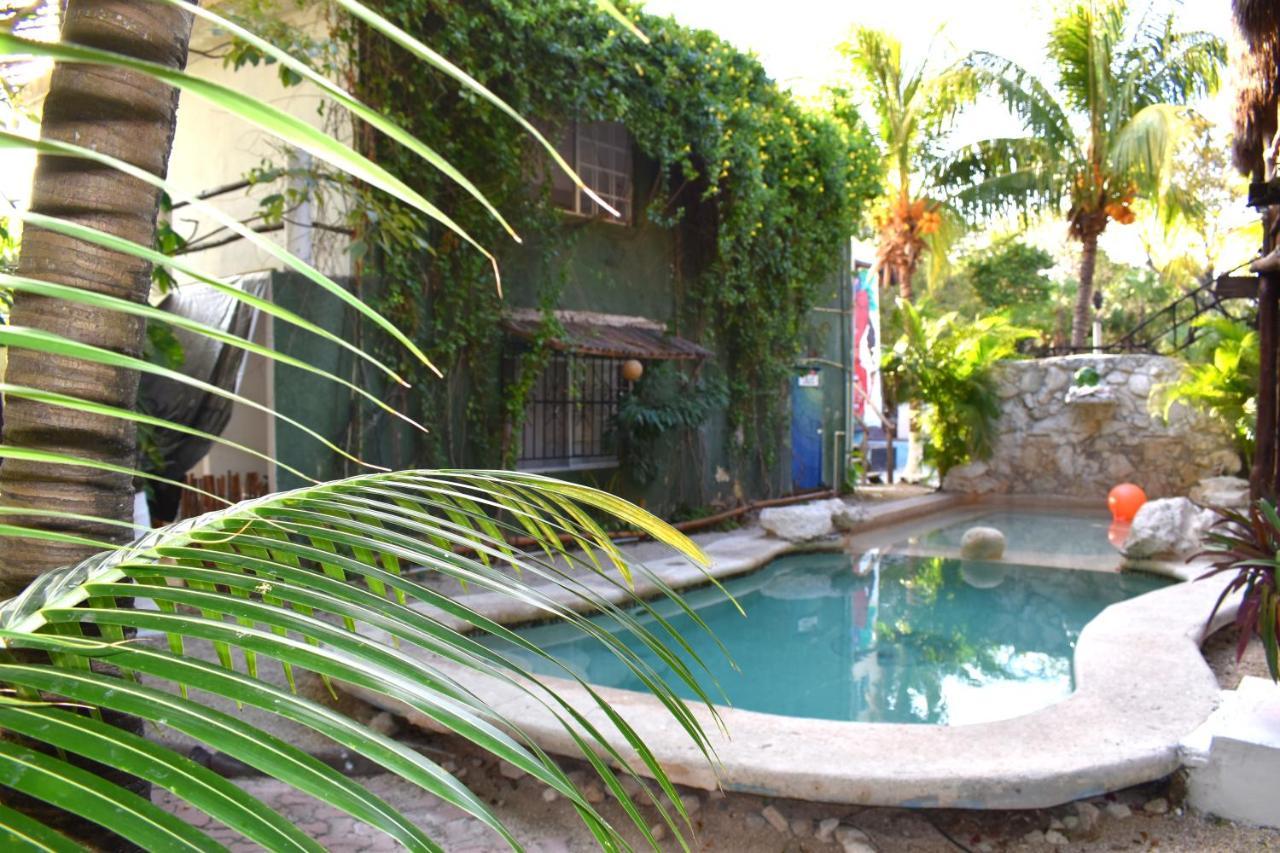 Lobo Inn تولوم المظهر الخارجي الصورة