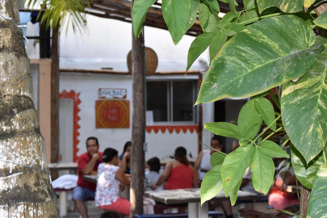 Lobo Inn تولوم المظهر الخارجي الصورة