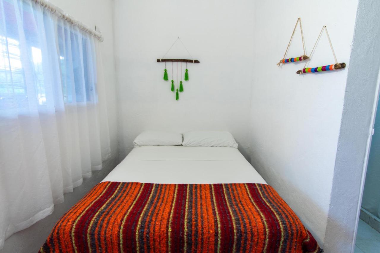 Lobo Inn تولوم المظهر الخارجي الصورة