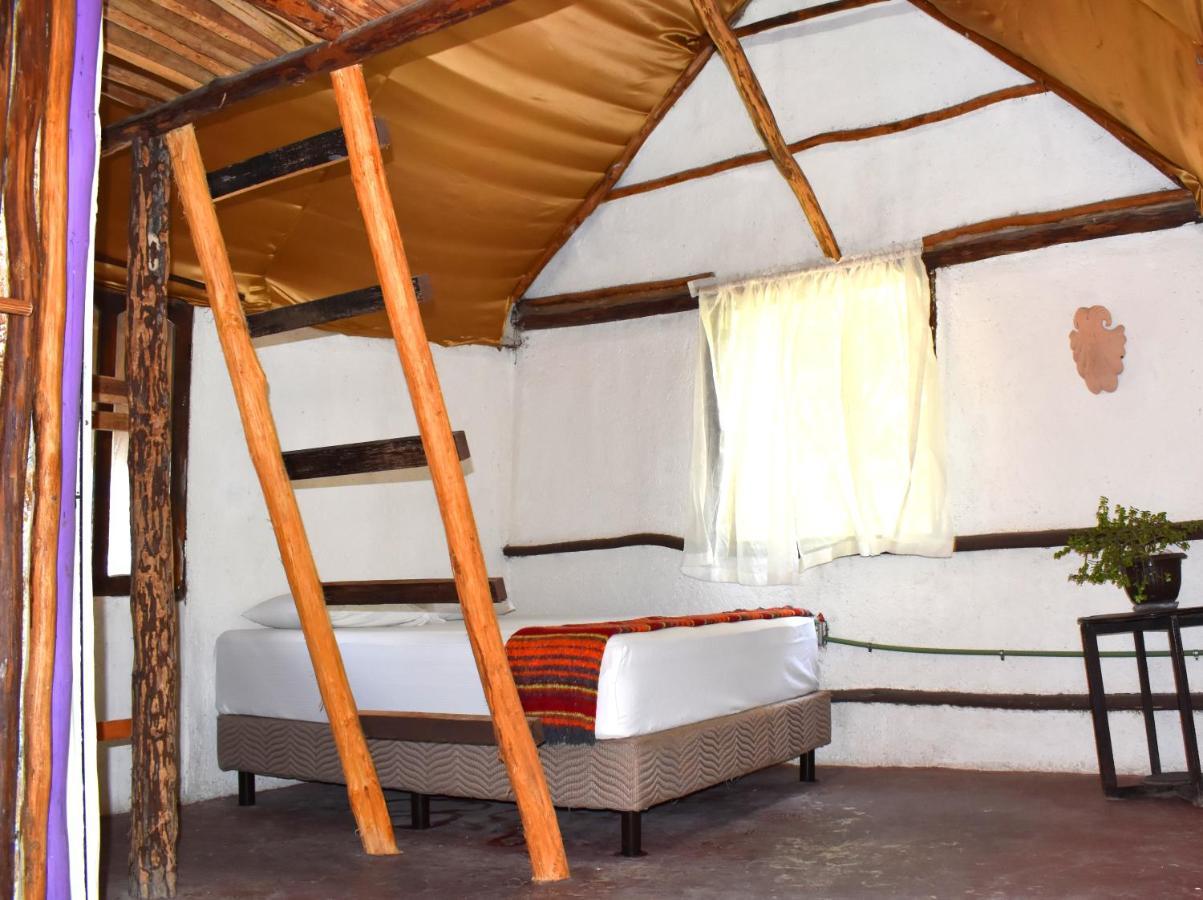 Lobo Inn تولوم المظهر الخارجي الصورة