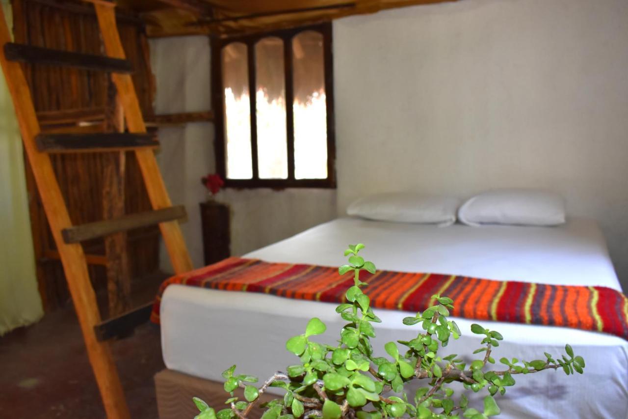 Lobo Inn تولوم المظهر الخارجي الصورة