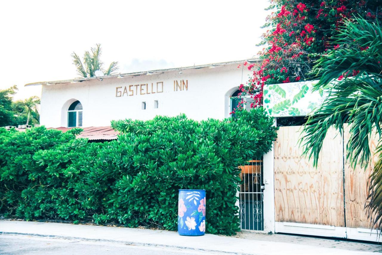 Lobo Inn تولوم المظهر الخارجي الصورة