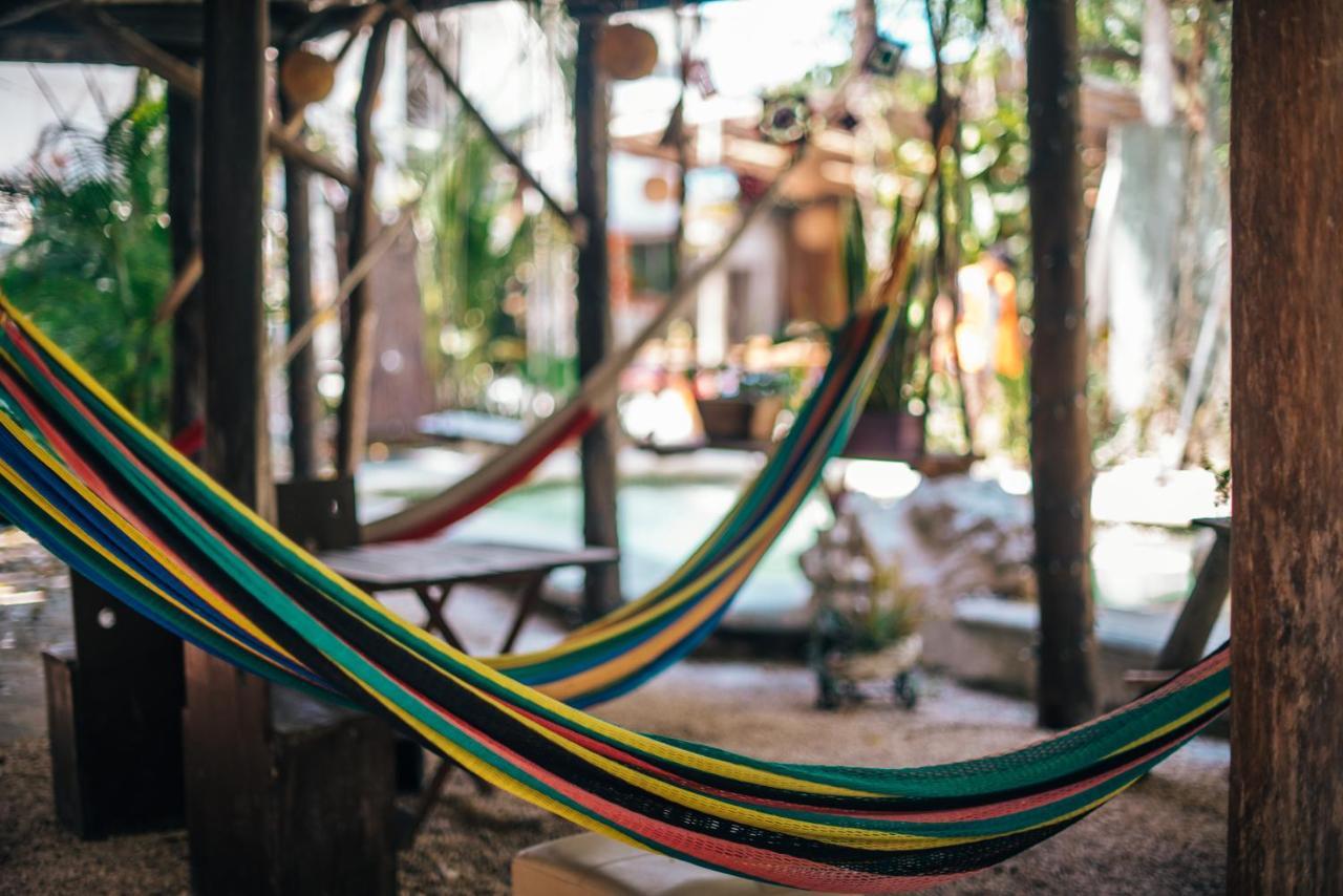 Lobo Inn تولوم المظهر الخارجي الصورة