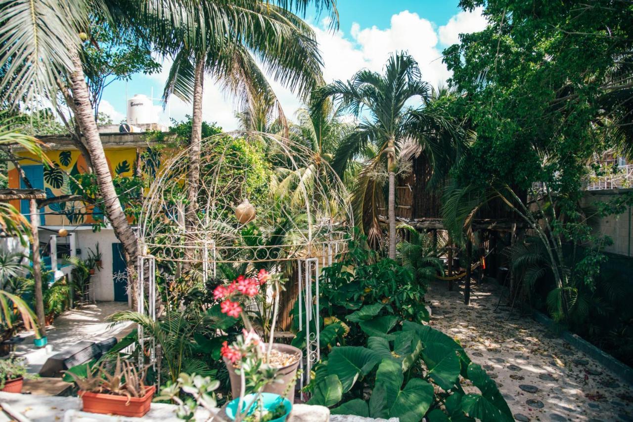 Lobo Inn تولوم المظهر الخارجي الصورة